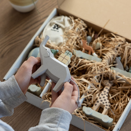 Sebra Geburtstagszug, Zootiere, World of Sebra