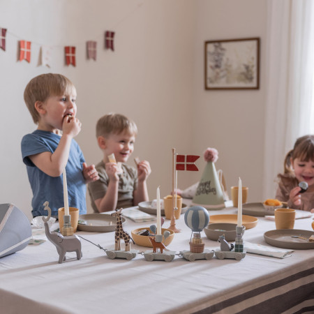 Sebra Geburtstagszug, Zootiere, World of Sebra