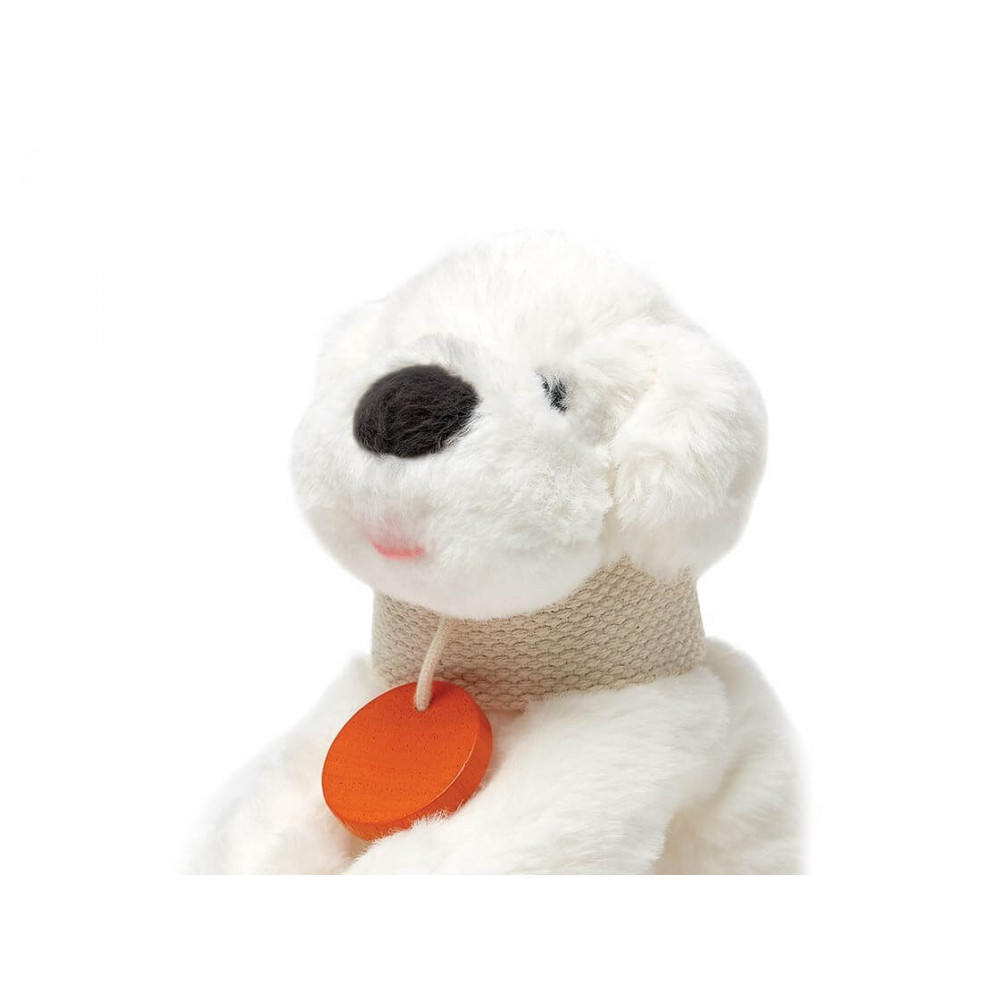 PlanToys Tierpflege-Set PlanToys Tierpflege-Set