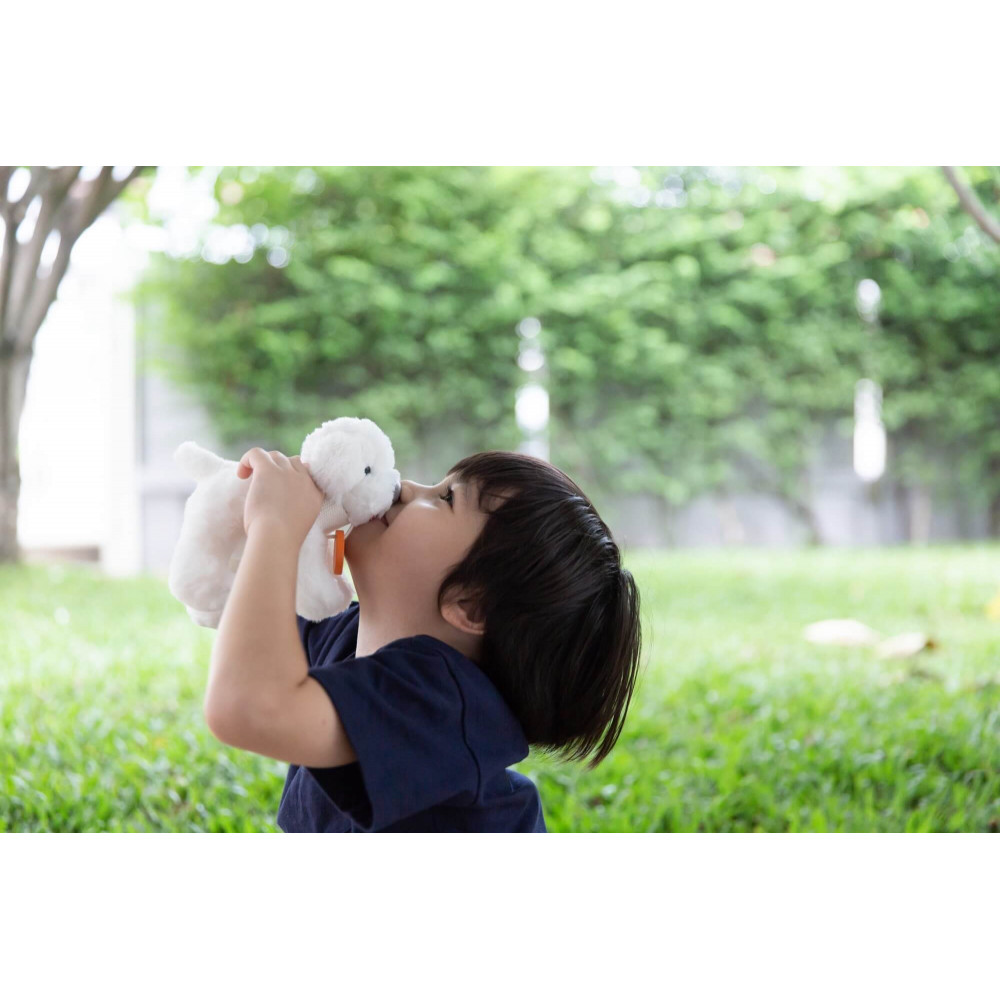 PlanToys Tierpflege-Set PlanToys Tierpflege-Set